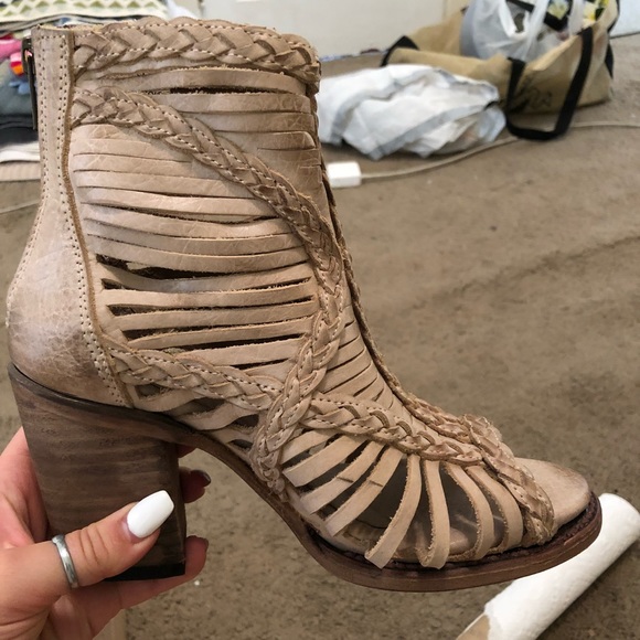 freebird by steven bela